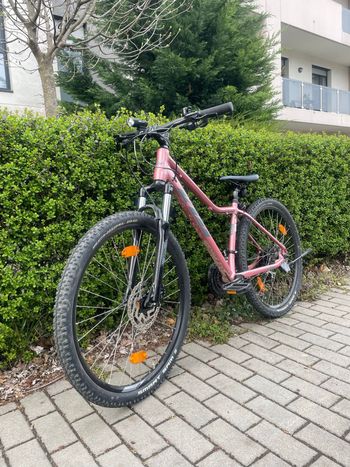 KTM, Penny lane