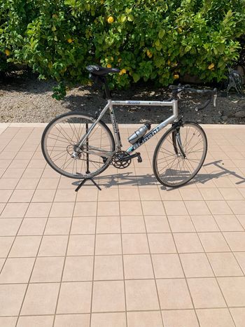 Bianchi, Nirone Other Campagnolo