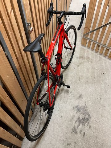 Used Trek Domane SL 6 2017 2017 Road & Gravel, Red — image 4 of 4