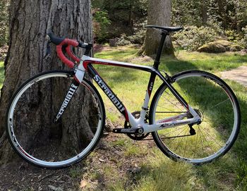 Used Stradalli Red Pro 14 2020 2020 Road & Gravel, White — image 8 of 8
