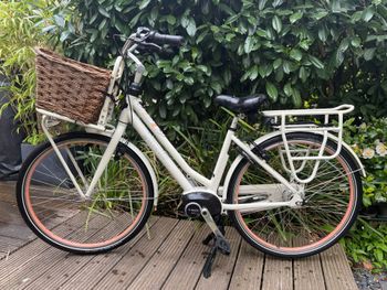 Gazelle, Gazelle Custom