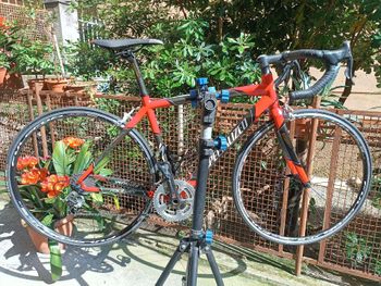 Specialized, Roubaix Campagnolo Chorus