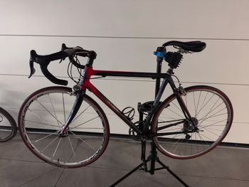 Used Gion Gion Custom Campagnolo Record 2021 Route & Gravel