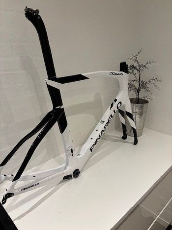 Used Pinarello DOGMA F 2024 Frameset 2023 Road & Gravel, White — image 2 of 5