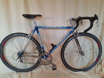 Colnago, Colnago Custom Campagnolo Record