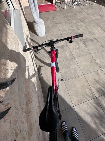 Used Canyon Lux World Cup CF 8 2024 2024 Mountainbike, Red, 29 — image 9 of 9