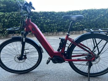 Atala, 25 Cult 8.5 28