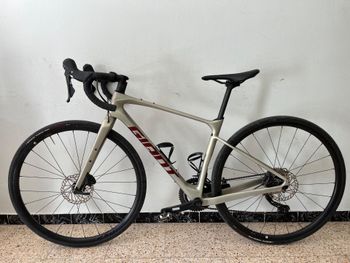 Giant, Revolt Advanced 0 2025