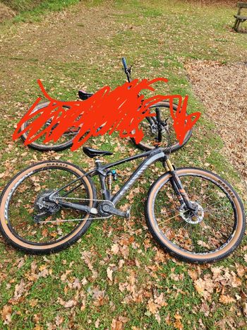 Canyon, Canyon Lux Cf