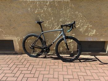 Trek, Emonda ALR Custom 2026