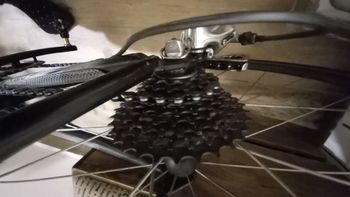 Used Colnago Colnago C40 Carbonio +dura Ace 1998 Road & Gravel — image 4 of 4