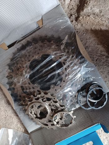 Used Head DOWNEY Other Shimano 2016 Mountainbike — image 24 of 24