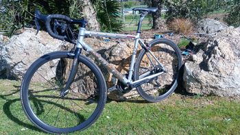 Used Commencal Commencal Custom Shimano Ultegra 2002 Road & Gravel, Hellgrau — image 2 of 6