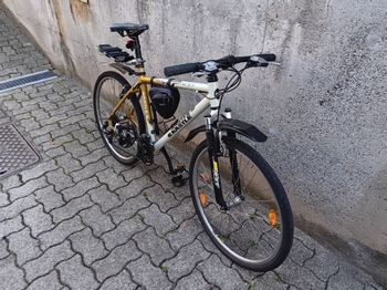 Used Kästle Castle Sport 400 1995 Mountainbike, White — image 2 of 12