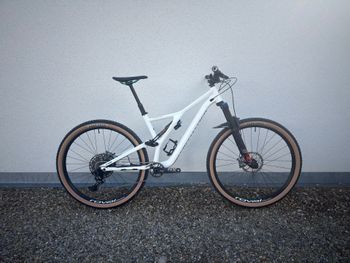 Specialized, Men's Stumpjumper Comp Alloy 29 – 12-speed 2019