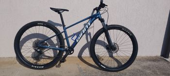 Giant, Talon 0 2021