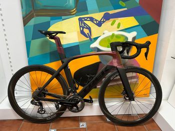 Trek, Madone SLR 6 Disc 2020
