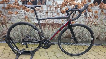 Ridley, Fenix Disc - Shimano Ultegra 2x11sp 2023