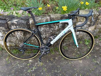 Used Delihea Delihea Type  SL6 2025 Road & Gravel, Green — image 2 of 5