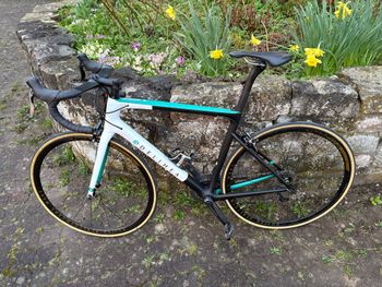 Used Delihea Delihea Type  SL6 2025 Racefiets & gravel