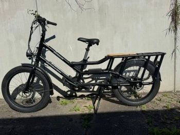 Rad Power Bikes, RadWagon 4 2021