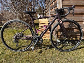 Scott, Contessa Speedster 15 2022