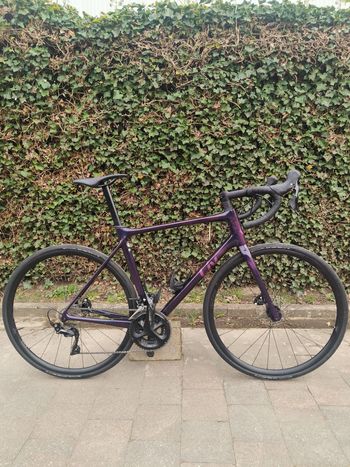 Liv, Langma Advanced Disc 2 2023