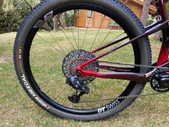 Used Lee Cougan Lee Cougan Custom SRAM XX1 Eagle AXS 2023 Mountainbike, Red — image 15 of 15