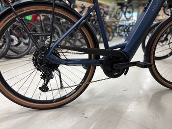 Used Pegasus Premio EVO 9 2023 Urban, Blue — image 3 of 3