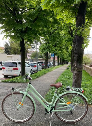 Used LOMBARDO Custom Shimano Tourney 2026 Urban, Green — image 2 of 3