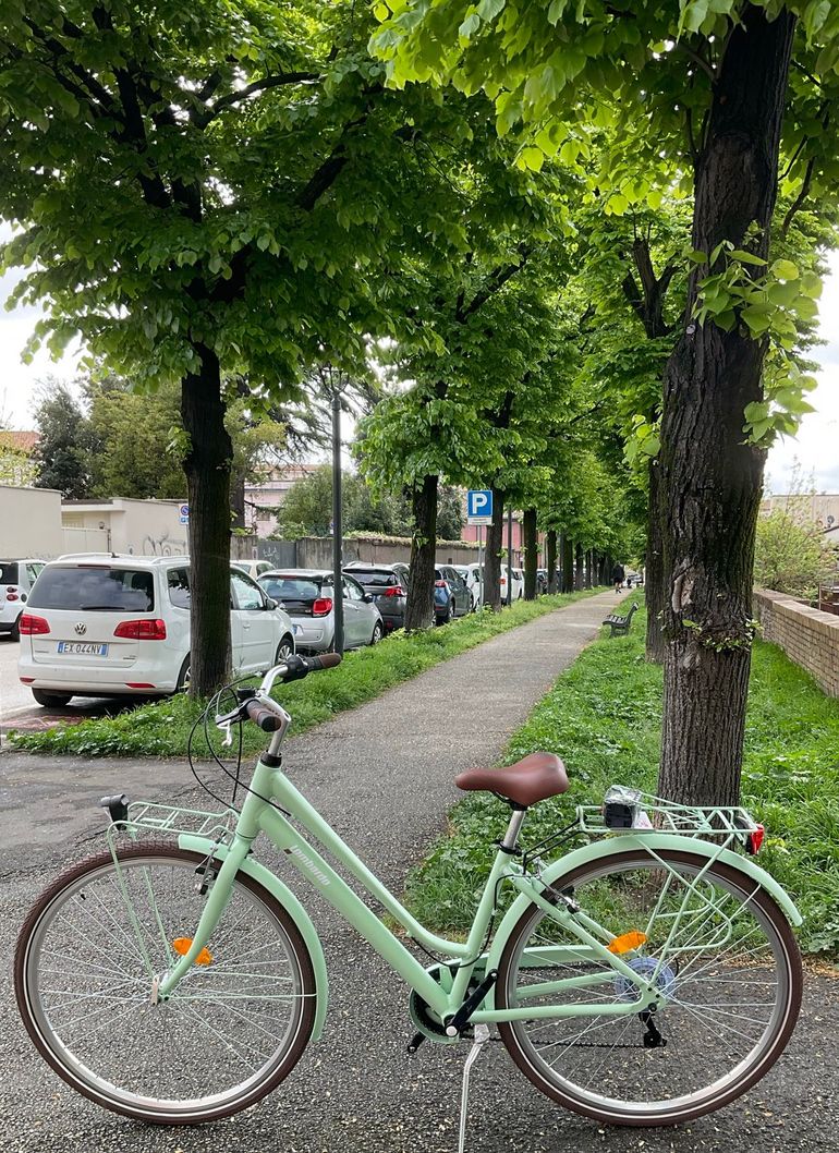 Used LOMBARDO LOMBARDO Custom Shimano Tourney 2026 Urban, Green — image 2 of 3