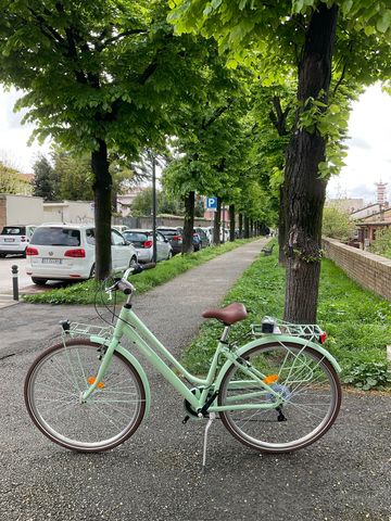 Used LOMBARDO Custom Shimano Tourney 2026 Urban, Green — image 3 of 3