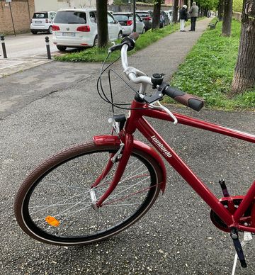Used LOMBARDO Custom Shimano Tourney 2026 Urban, Red — image 3 of 4