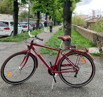 Used LOMBARDO Custom Shimano Tourney 2026 Urban, Red — image 2 of 4