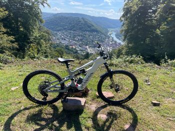 Canyon, Strive:ON CFR LTD 2023