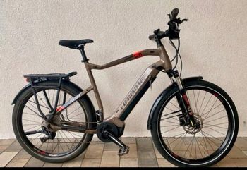 Haibike, SDURO Trekking 4.0 2020