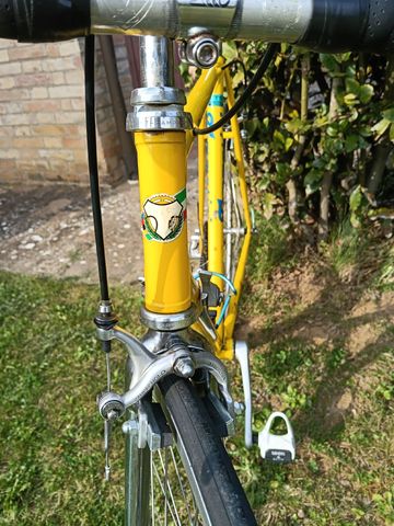 Used Tommasini Custom Other Campagnolo 1986 Road & Gravel, Orange — image 8 of 8