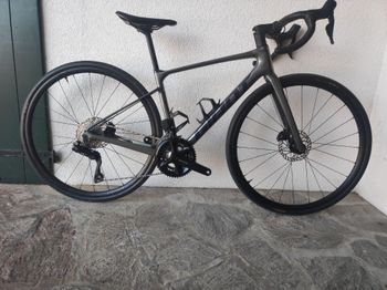 Giant, Defy Advanced 1 2024