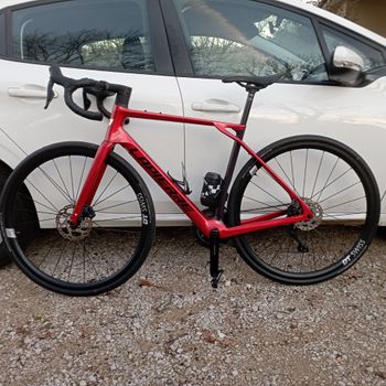 Lapierre, Pulsium 6.0 2025