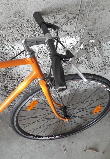 Single speed, Single speed Custom