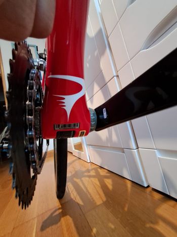 Pinarello, Gan Campagnolo Potenza