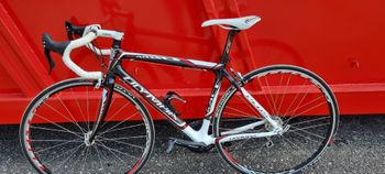 Used Olympia Olympia Custom Campagnolo Veloce 2010 Road & Gravel, Weiß — image 2 of 3