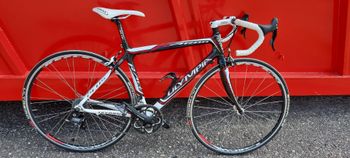 Used Olympia Olympia Custom Campagnolo Veloce 2010 Road & Gravel
