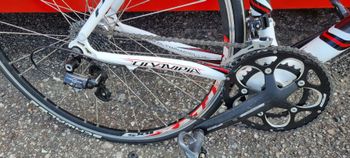 Used Olympia Olympia Custom Campagnolo Veloce 2010 Road & Gravel, Weiß — image 3 of 3