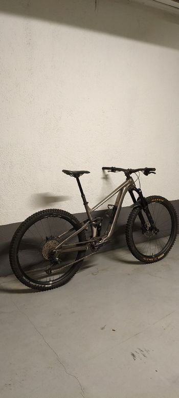 Giant, Trance X 1 2024