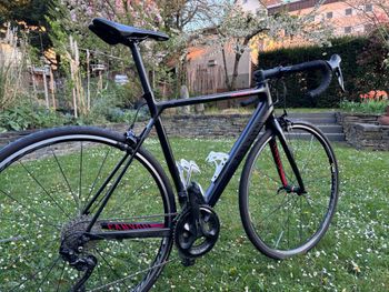 Canyon, Endurace Shimano 105