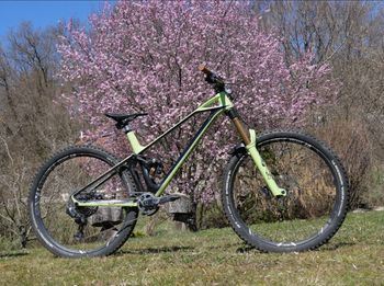 Mondraker, Mondraker Foxy Rr Sl
