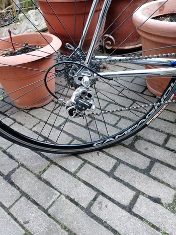 Used De Rosa De Rosa Custom Campagnolo Record 1985 Road & Gravel — image 2 of 11