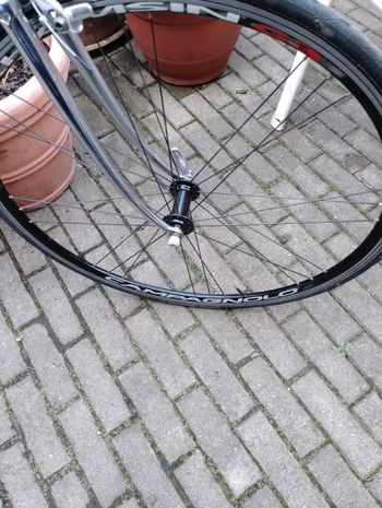 Used De Rosa De Rosa Custom Campagnolo Record 1985 Road & Gravel — image 4 of 11