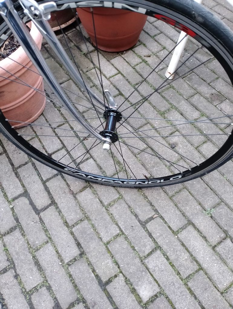 Used De Rosa De Rosa Custom Campagnolo Record 1985 Road & Gravel — image 4 of 11
